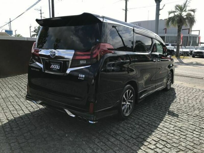 ALPHARD-6