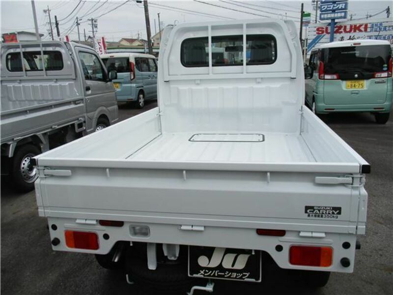 CARRY TRUCK-1