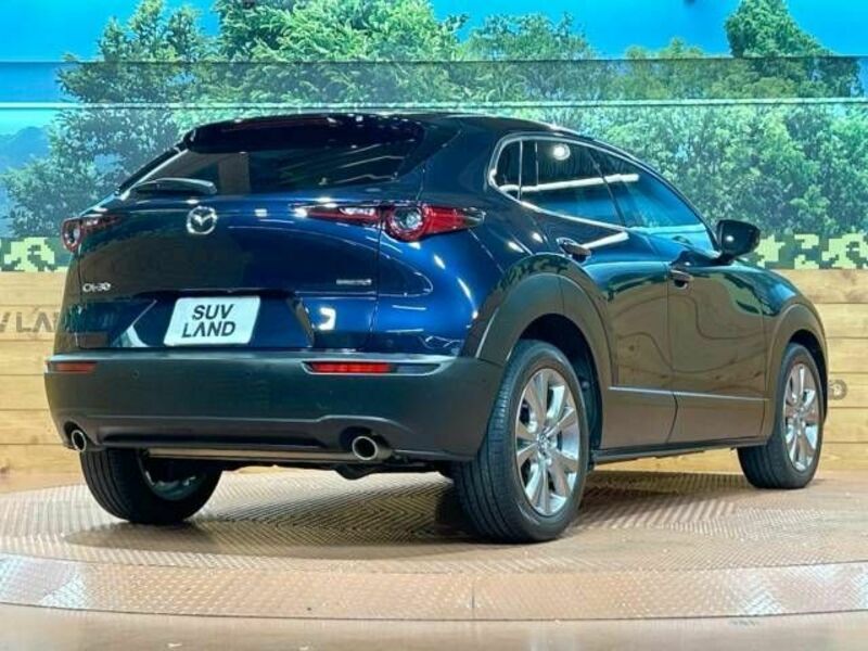 CX-30-17