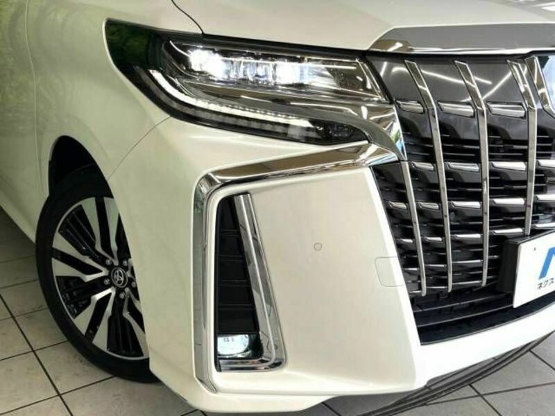 ALPHARD-13