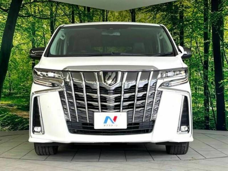 ALPHARD-15