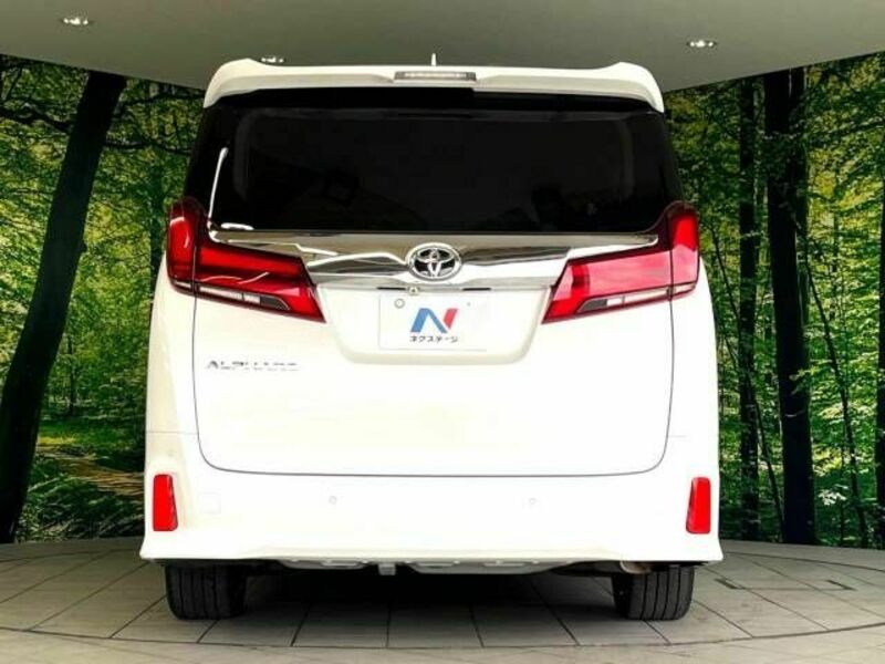 ALPHARD-16