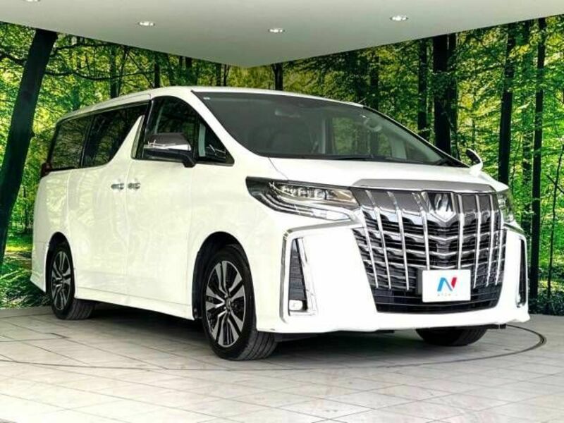 ALPHARD-17