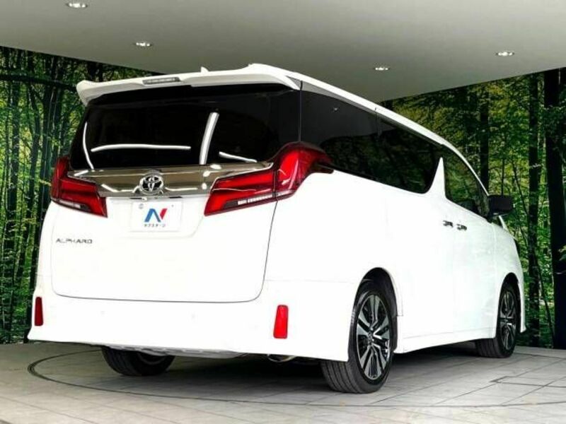 ALPHARD-18