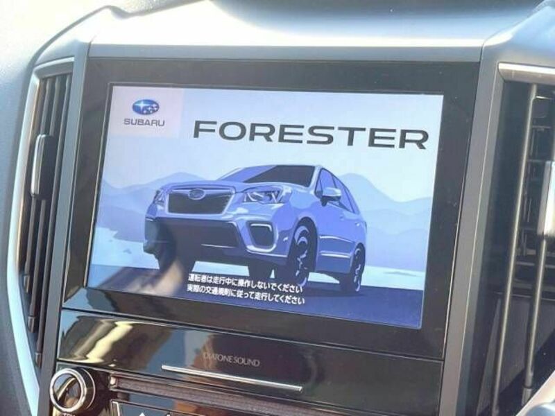 FORESTER-3