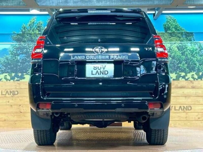 LAND CRUISER PRADO-15