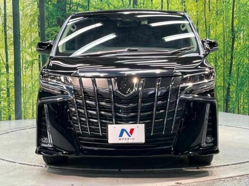 ALPHARD-15