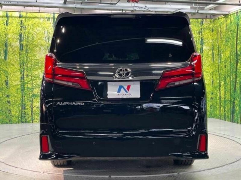 ALPHARD-16