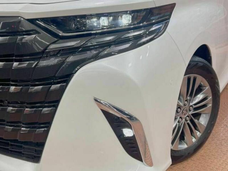 ALPHARD-13