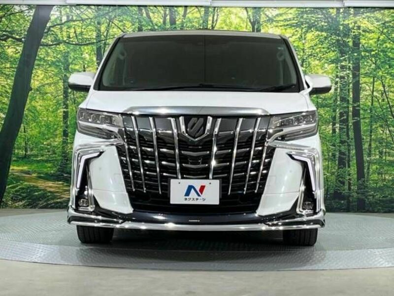 ALPHARD-14