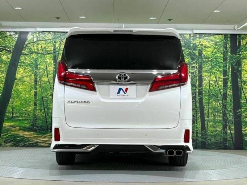 ALPHARD-15