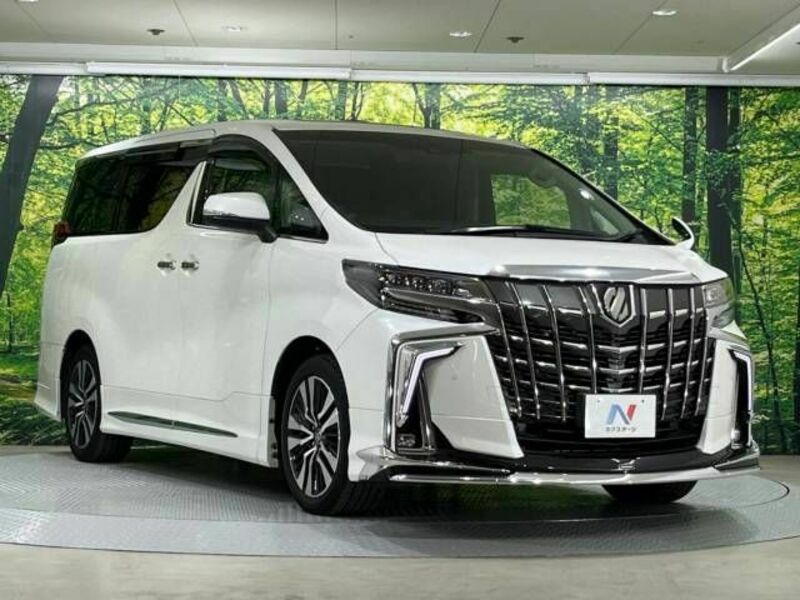 ALPHARD-16