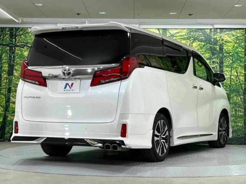 ALPHARD-17