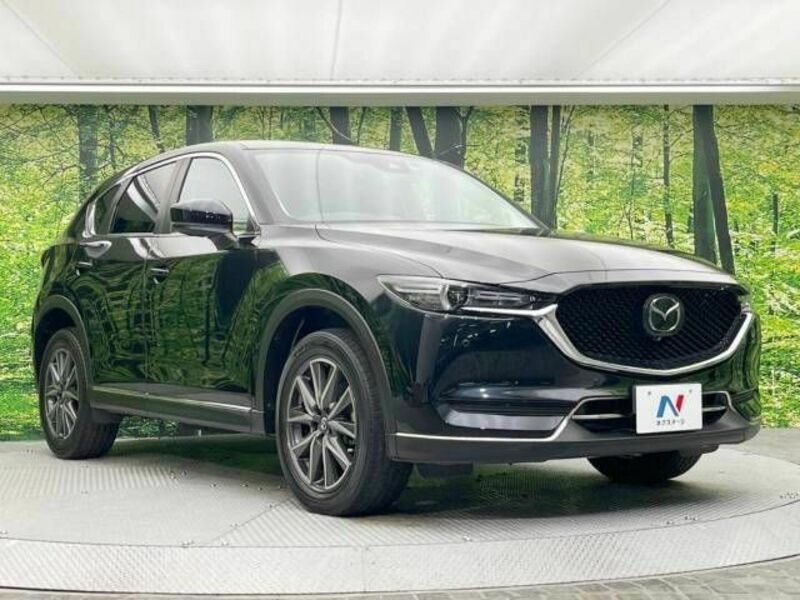 CX-5-18