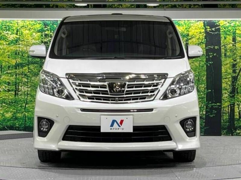 ALPHARD-15