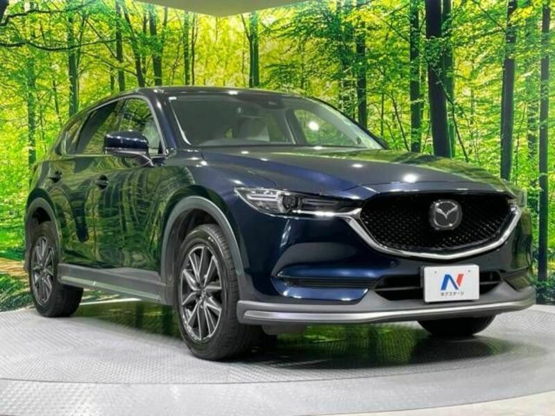 CX-5-16