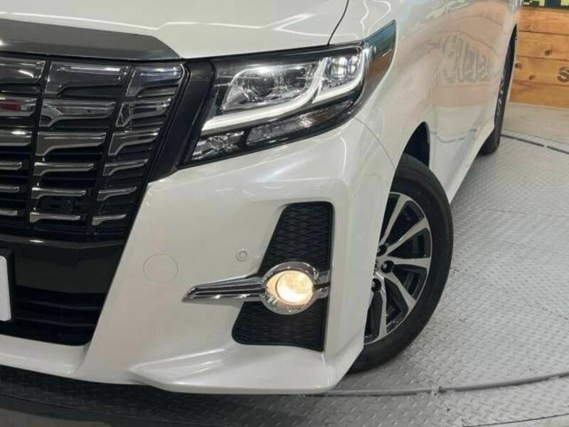 ALPHARD-13