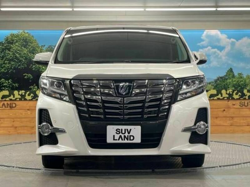 ALPHARD-14