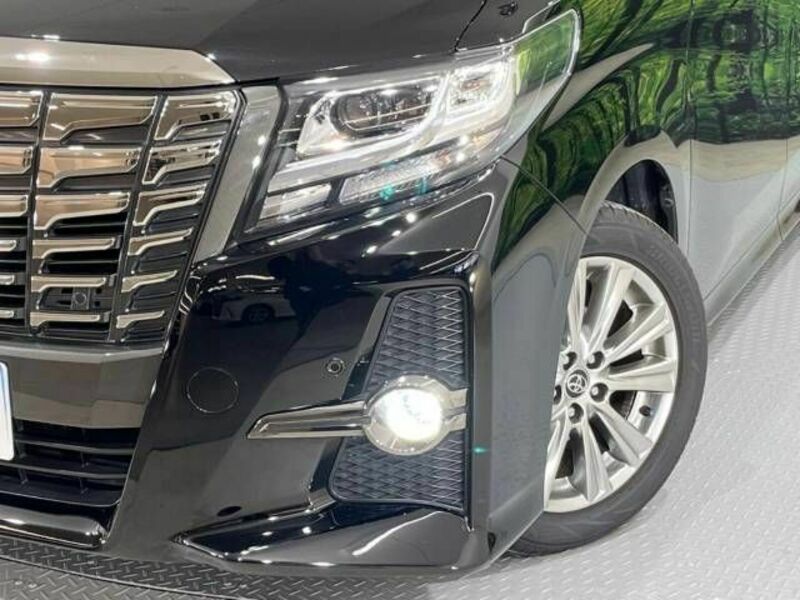 ALPHARD-13