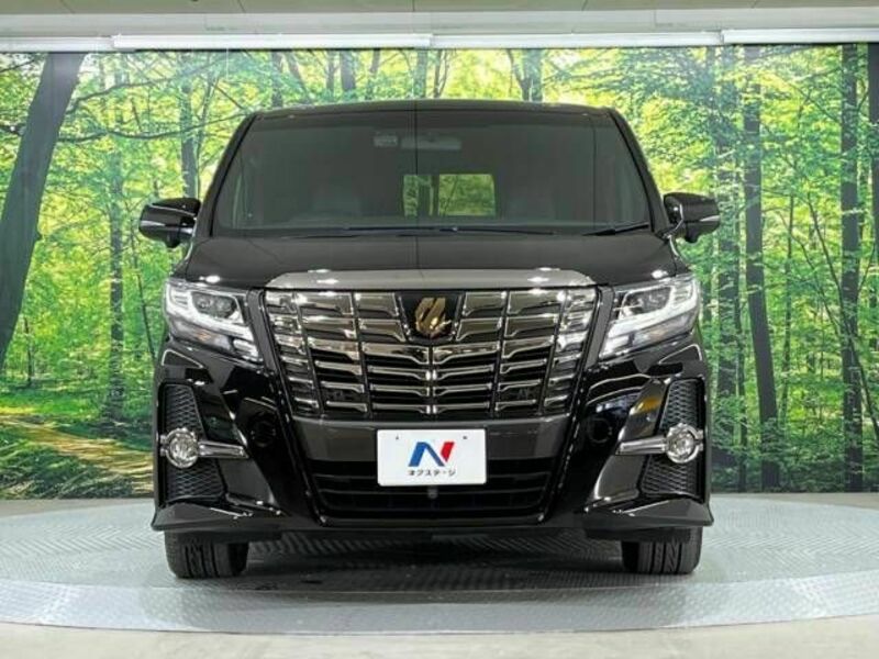 ALPHARD-15