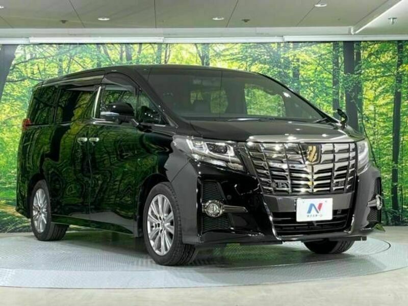 ALPHARD-16