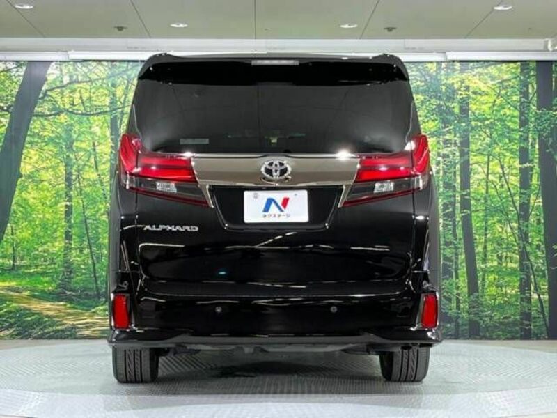 ALPHARD-18