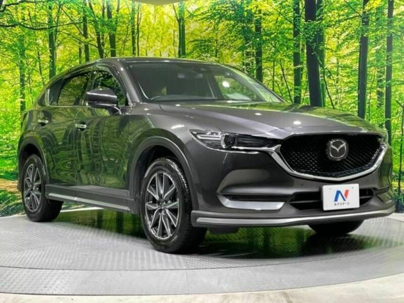 CX-5-16