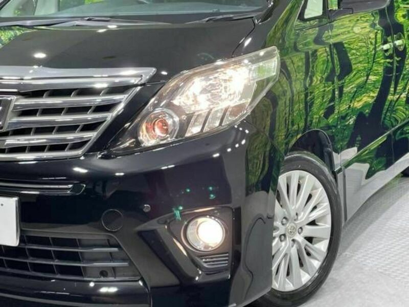 ALPHARD-13