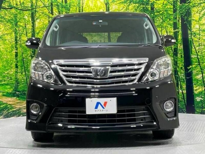 ALPHARD-15