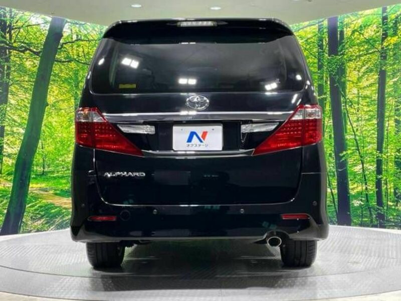 ALPHARD-16