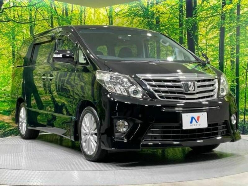 ALPHARD-17