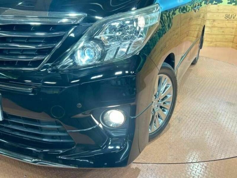 ALPHARD-13