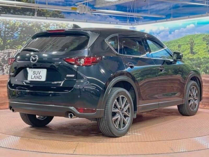 CX-5-17