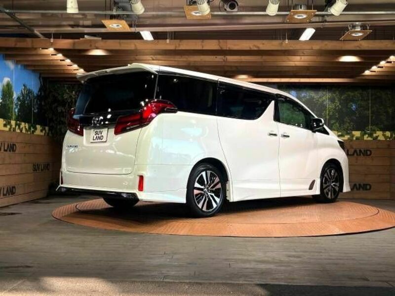 ALPHARD-18