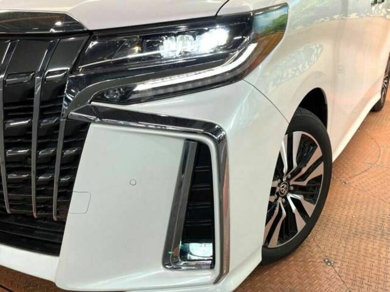 ALPHARD-14