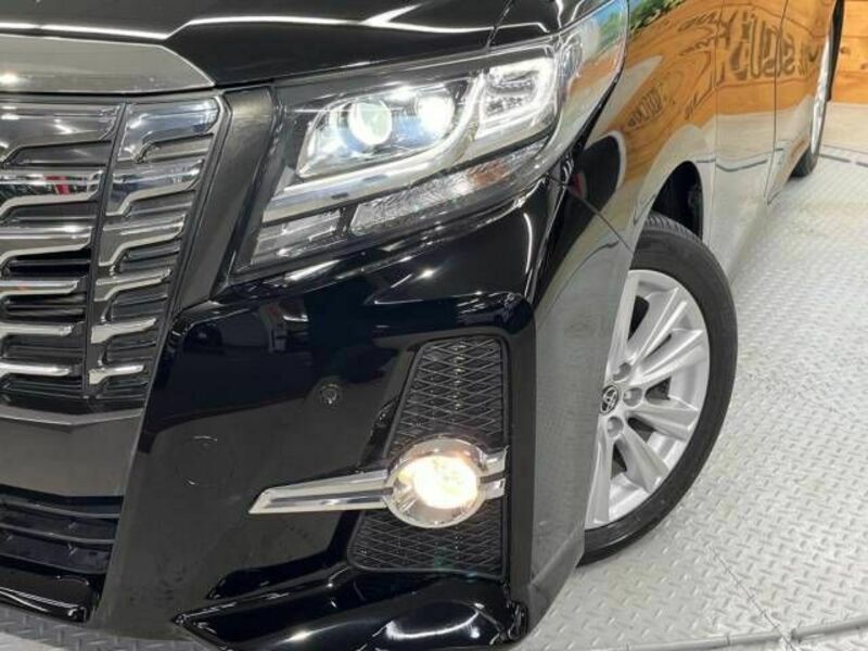 ALPHARD-12