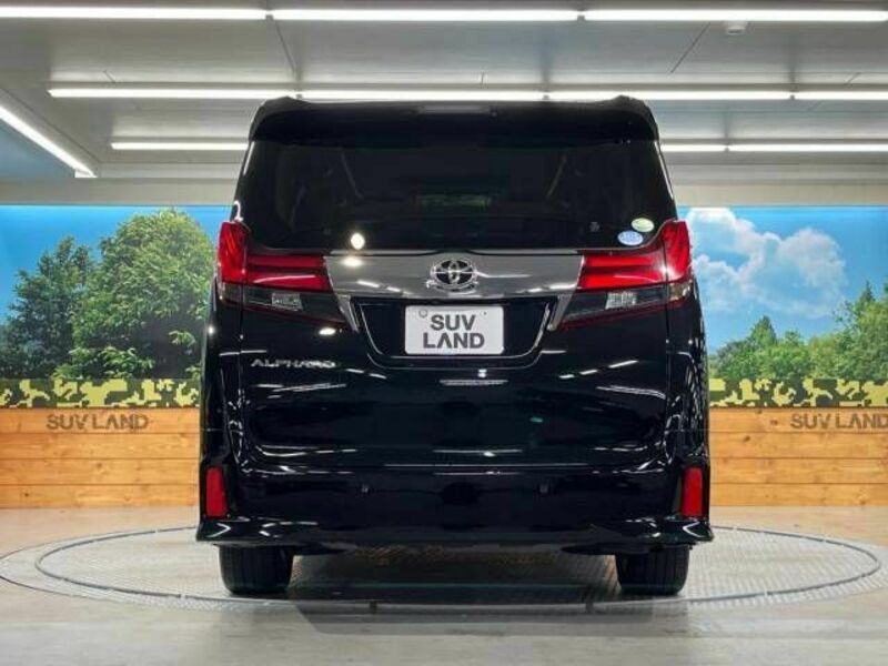 ALPHARD-15