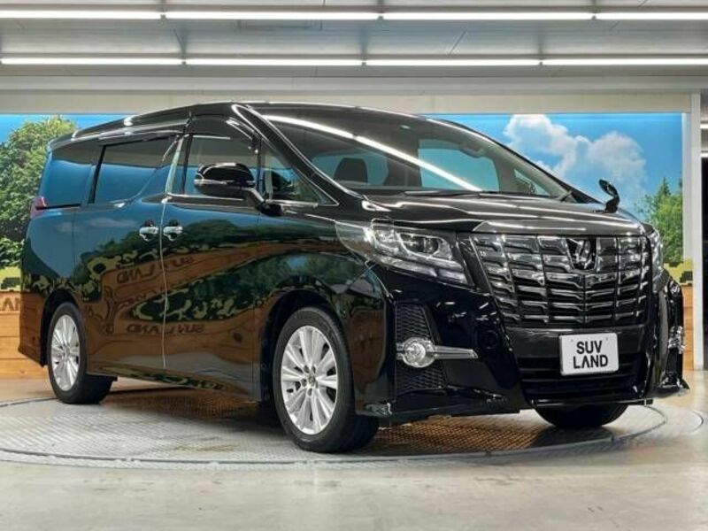 ALPHARD-16