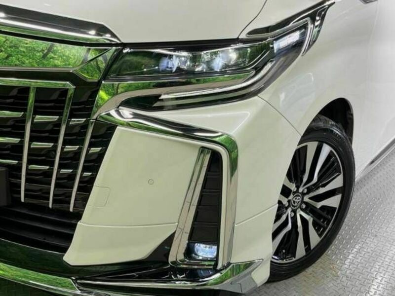 ALPHARD-13