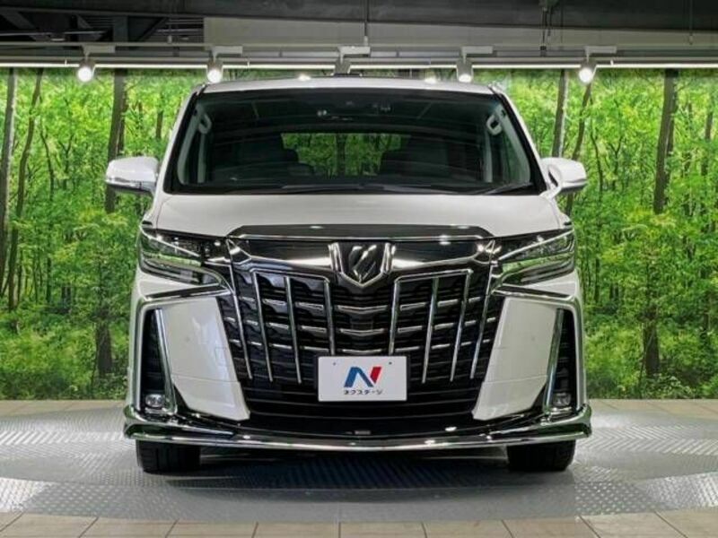 ALPHARD-15