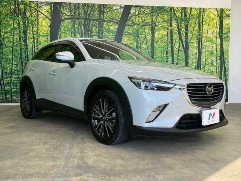 CX-3-16