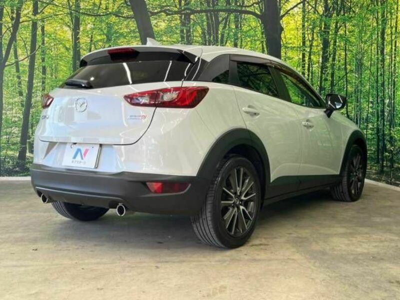 CX-3-17