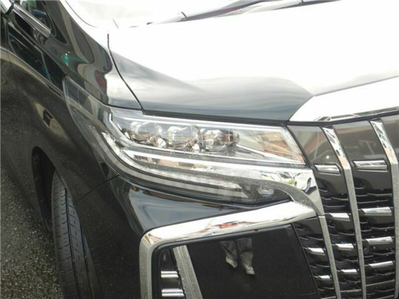 ALPHARD-7