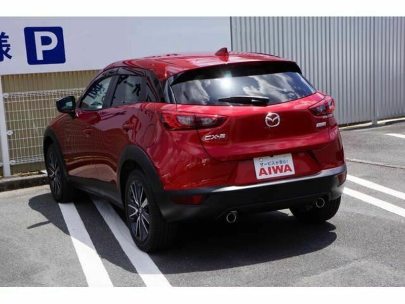 CX-3-3