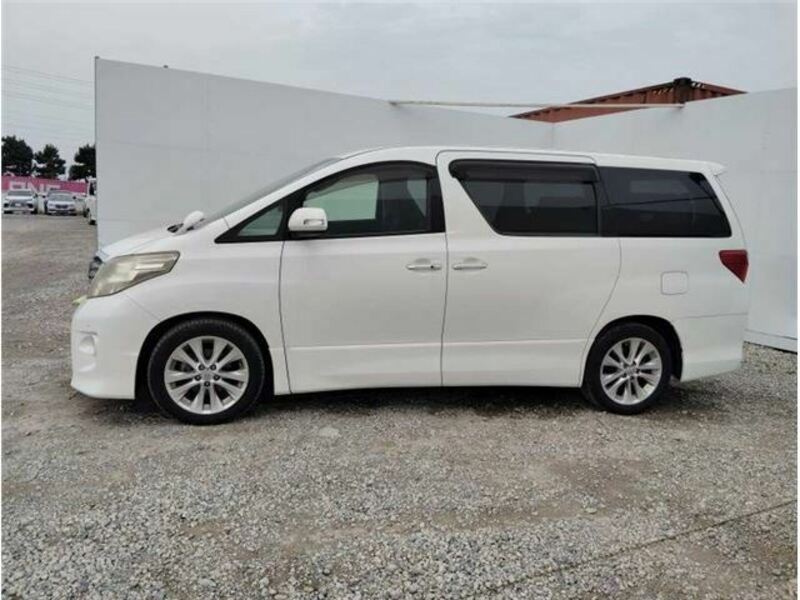 ALPHARD-8