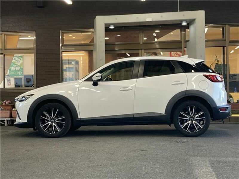 CX-3-8