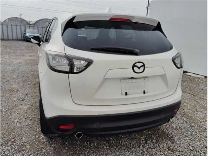 CX-5-6