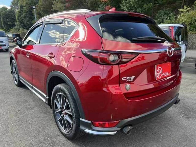 CX-5-19