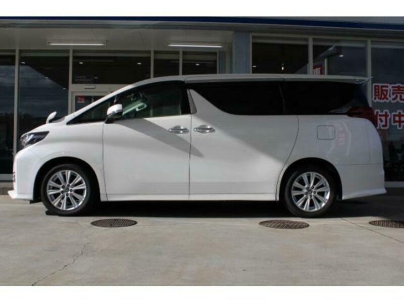 ALPHARD-10