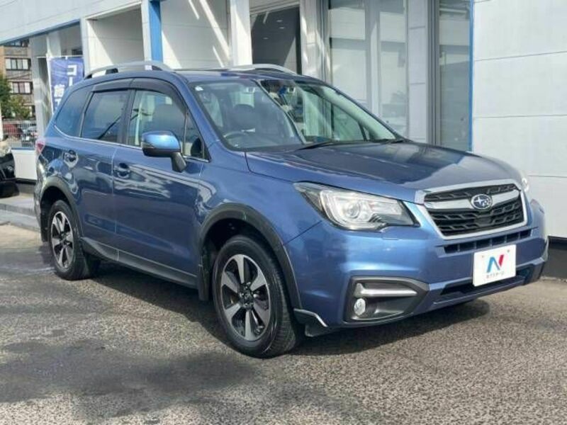 FORESTER-16